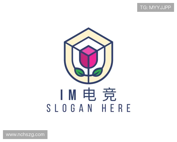 了解im电竞
