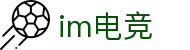 IM(股份有限公司)电竞-电子竞技平台
